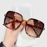 Wiebke | Elegante Sonnenbrillen