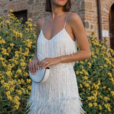 Samba - Eleganz in Bewegung